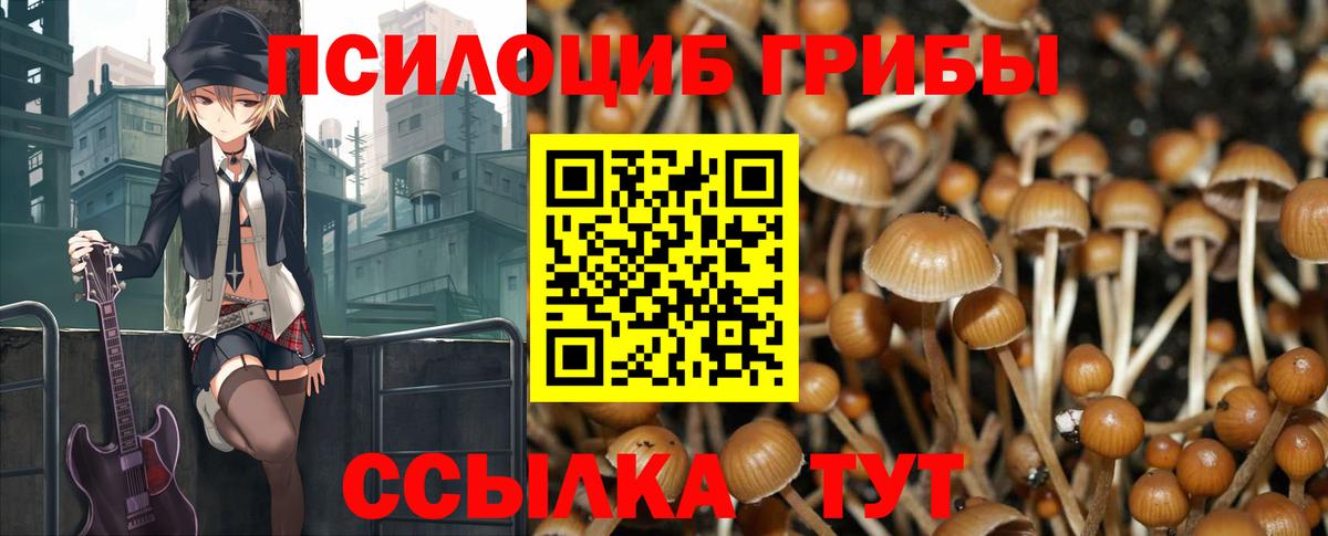 Галлюциногенные грибы Magic Shrooms  Вход с VPN  Сердобск 